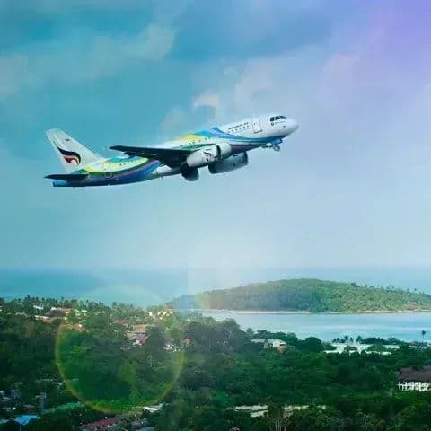 A plane taking off over a tropical coastline